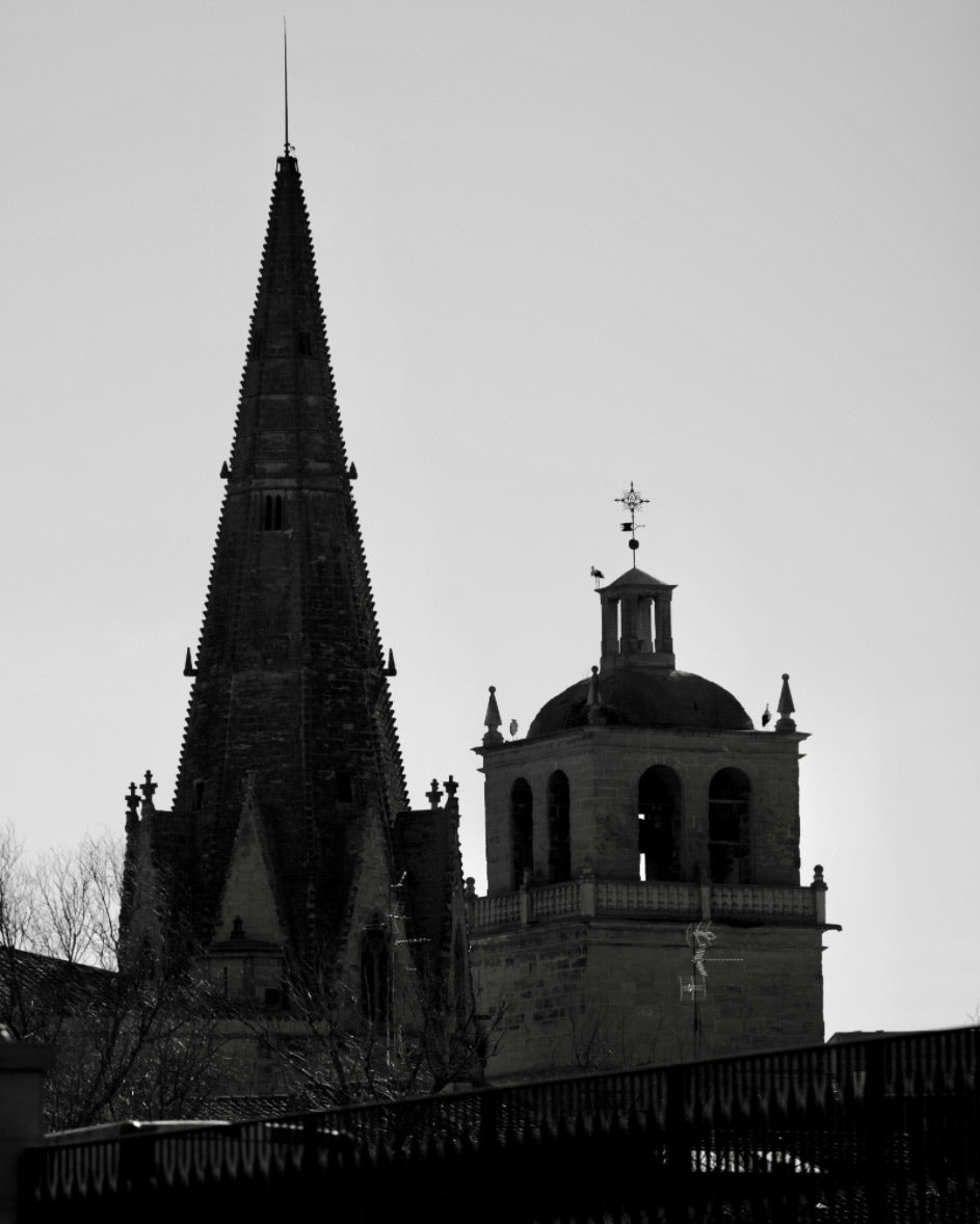 samuel-pujades-yaxEukECrKY-unsplash_2x_57b38db9-5556-4295-8fb7-5357612a0b66.jpg